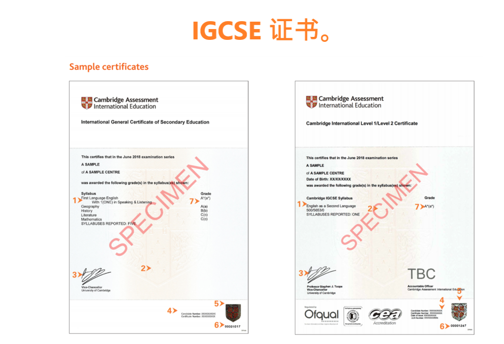 IGCSE