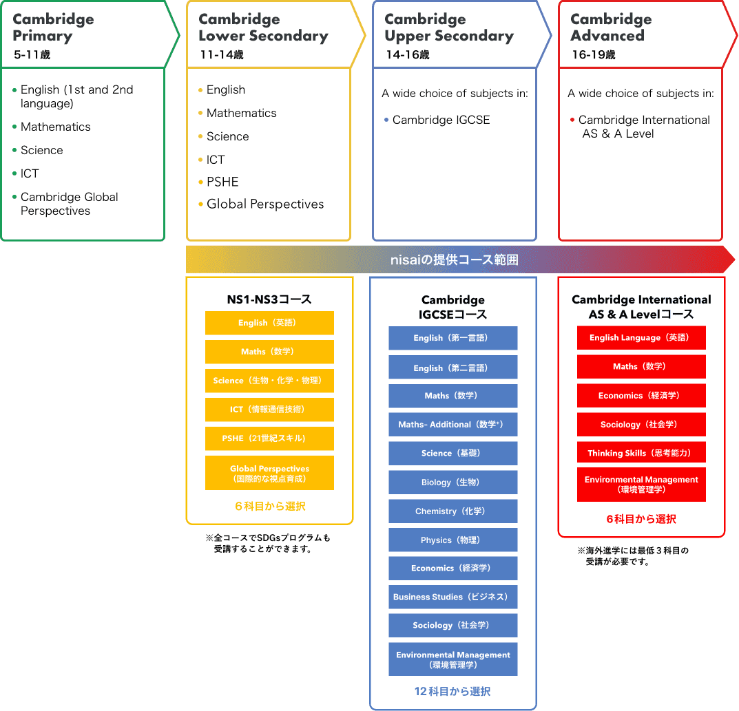 ケンブリッジプログラムの流れの図