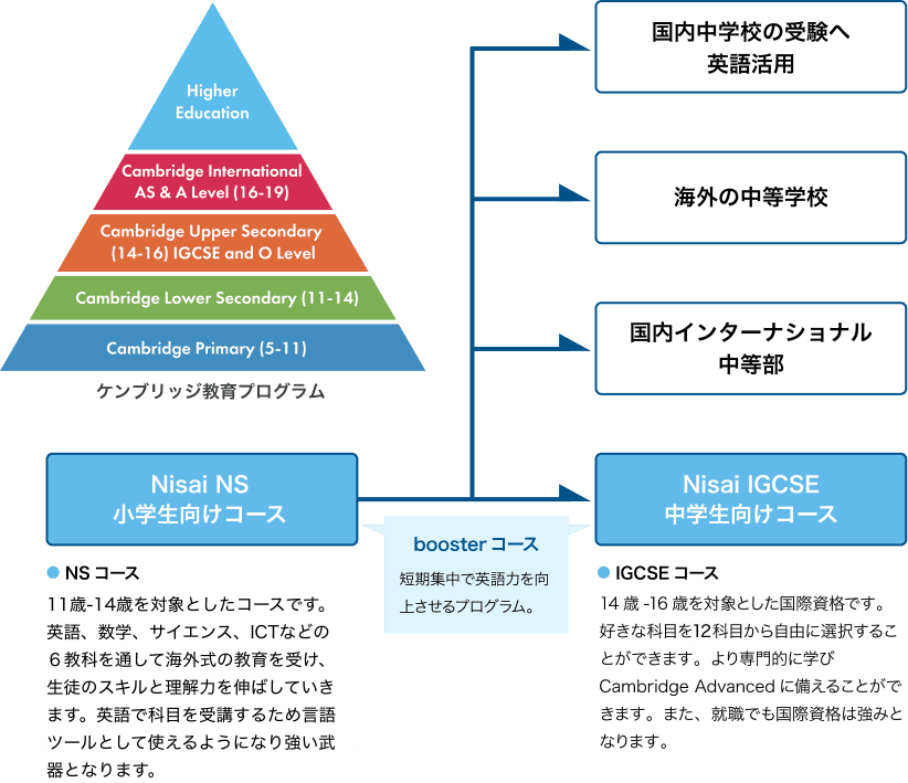 小学生コースを受講した後との進学経路