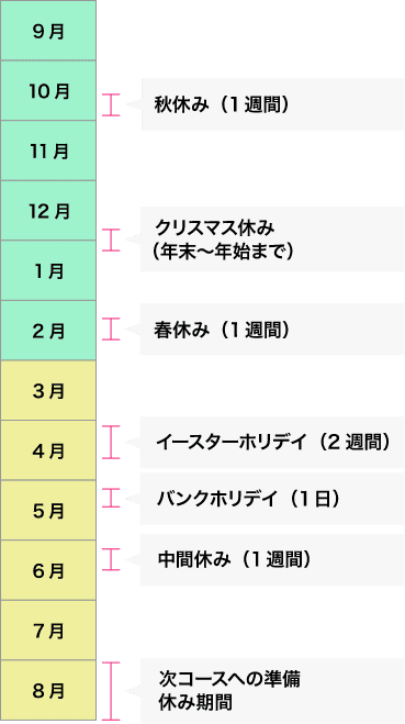 年間スケジュールの図