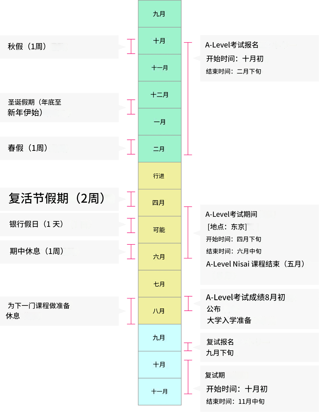 年間スケジュールの図