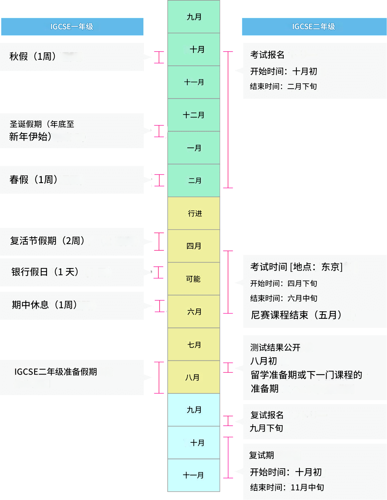 年間スケジュールの図