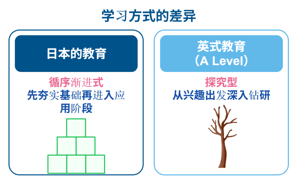 如何平衡教育与日本教育?你应该了解的课程差异